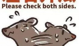 忙死吃瓜群众了,揭秘网络热词背后的社会现象