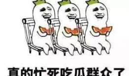 忙死吃瓜群众了,揭秘网络热词背后的社会现象