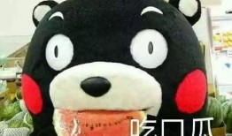 吃瓜群众无意义,揭秘吃瓜群众的趣味生活