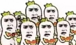 滴滴吃瓜群众,揭秘网约车行业背后的故事