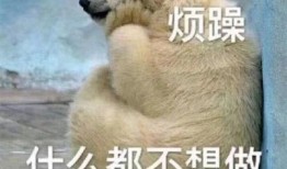 吃瓜群众表情包互动图片,趣味互动，笑翻你的朋友圈