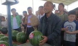 德国富裕吃瓜群众,瓜分盛宴中的生活画卷