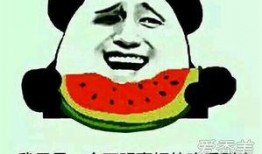 吃瓜群众的黑话是什么,揭秘“吃瓜群众”黑话背后的网络文化现象