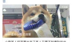 元梦之星吃瓜群众,吃瓜群众眼中的明星生活揭秘