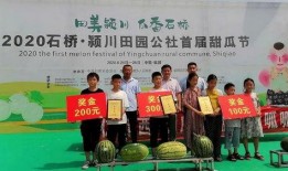 吃瓜群众001济南大学,揭秘济南大学生活点滴