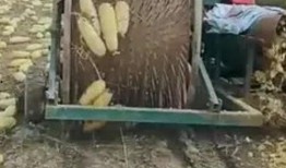 小区吃瓜群众收获,揭秘邻里趣事，共享生活点滴