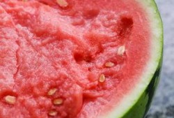 吃瓜群众在麒麟,揭秘神秘生物背后的传说与真相