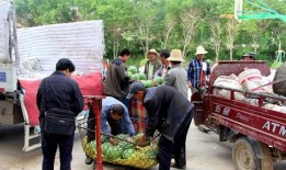 张家口市吃瓜群众