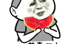 吃瓜群众 直播录屏违规吗,违规与否引热议