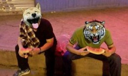 吃瓜群众与吃瓜狗的关系,吃瓜群众与吃瓜狗的和谐共舞