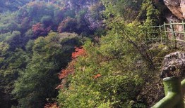 王府竹海吃瓜群众挑战赛,挑战赛激战正酣，吃瓜群众热情高涨