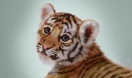 吃瓜群众小老虎图片,趣味横生的夏日时光