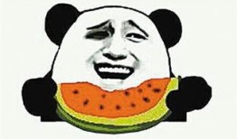 吃瓜群众打手瓜子视频素材,揭秘吃瓜群众打手瓜子视频幕后趣事