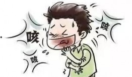 吃瓜群众的好伙伴有哪些,那些陪伴我们度过的欢乐时光