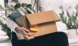 暴力裁员吃瓜群众,吃瓜群众视角下的职场风云