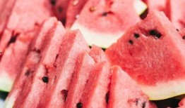 吃瓜群众泡菜视频大全集,一场味蕾与视觉的盛宴