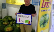 驻马店的吃瓜群众,吃瓜群众的热议焦点