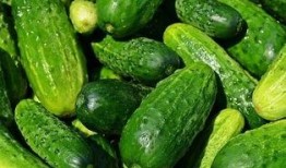 吃瓜群众黄瓜原创视频,揭秘短视频背后的趣味与智慧