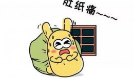 吃瓜群众5567,一场全民参与的娱乐盛宴