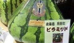 世界上最恐怖的吃瓜群众,一场场惊心动魄的围观风云