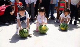 吃瓜群众的全部作品,揭秘娱乐圈背后的真相与笑料