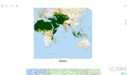 图穷吃瓜群众岱岱,揭秘网络热议背后的真相