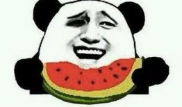 一个吃瓜群众一个演员,吃瓜群众眼中的明星演员