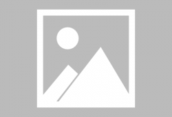 吃瓜群众的土豆,从田间到餐桌的传奇之旅