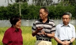 吃瓜群众21号,揭秘吃瓜群众21号背后的故事