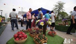 上海吃瓜群众的地方,吃瓜群众的市井百态