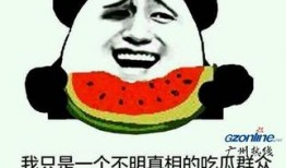 吃瓜群众选哪种,揭秘热门话题背后的真相与观点