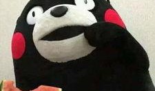 吃瓜群众中的瓜皮是什么,网络热词背后的文化现象