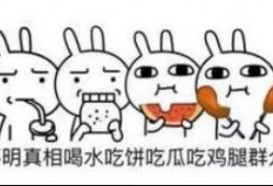 吃瓜群众的好伙伴有哪些,那些陪伴我们度过的欢乐时光