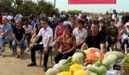 德国富裕吃瓜群众,瓜分盛宴中的生活画卷