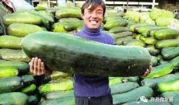 疫情群众吃瓜的图片,网络围观背后的社会现象