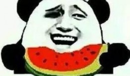 绝望的吃瓜群众,揭秘网络舆论背后的真相