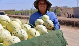 疫情群众吃瓜的图片,网络围观背后的社会现象