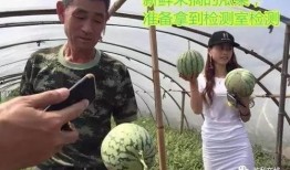 吃瓜群众进场直播下载,吃瓜群众进场，下载狂欢开启！