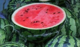 吃瓜群众不吃西瓜,为何不吃西瓜？揭秘背后的趣味真相