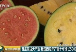 吃瓜群众吃大瓜,吃瓜群众大快朵颐，大瓜连连爆出惊人内幕