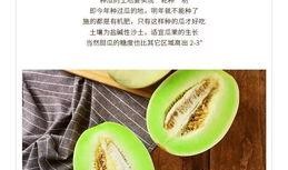 一名吃瓜群众,吃瓜群众眼中的明星幕后故事