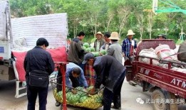 小区吃瓜群众收获,揭秘邻里趣事，共享生活点滴