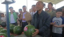 驻马店的吃瓜群众,吃瓜群众的热议焦点