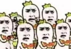 德国富裕吃瓜群众,瓜分盛宴中的生活画卷