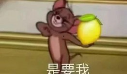 恋爱可以吃瓜群众,吃瓜群众围观甜蜜瞬间