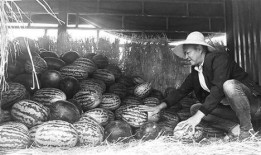 图穷吃瓜群众岱岱,揭秘网络热议背后的真相