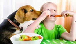 吃瓜群众与吃瓜狗的关系,吃瓜群众与吃瓜狗的和谐共舞