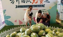 吃瓜群众上线淮南新闻最新,吃瓜群众热议最新动态，揭秘幕后真相