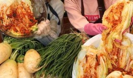 吃瓜群众泡菜视频大全集,一场味蕾与视觉的盛宴