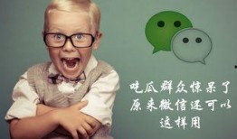 群聊吃瓜群众,揭秘网络社交背后的趣味与争议